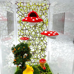 Julang jumping spider platform 1in mushroom surface compact for small habitats.