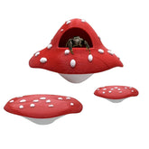 Julang jumping spider platform 2in mushroom surface supports climbing and resting.