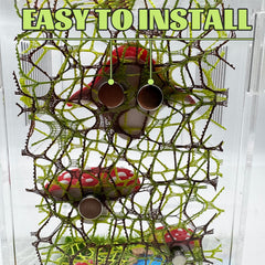 Julang jumping spider platform magnetic-mount securely attaches to enclosure walls.