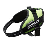 Julius-K9 IDC Powerharness Mini Neon Green front view for safety and visibility.