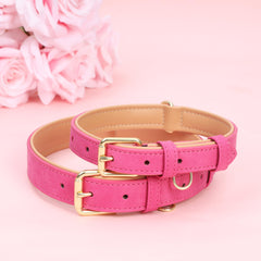 Collar Jumpress talla M para perros medianos, ajuste cómodo.