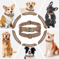 Jumpress heavy-duty leather collar highlights welded D-ring for secure leash use.