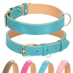 Jumpress leather dog collar teal padded for all-day comfort