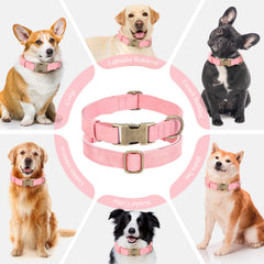 Jumpress pink collar with welded D-ring demonstrates secure leash attachment.