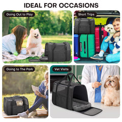 JUNGYOON carrier features 360° ventilation mesh for breathable, pet-friendly travel