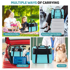 JUNGYOON Premium Cat Carrier 360° ventilation promotes pet comfort during travel