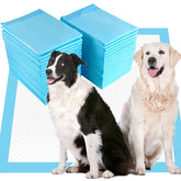 JUNYUHU 50-count 36x36 pee pads ideal for house training and travel