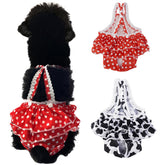 JUOMIIEL dog diaper front view with red-black suspenders for small dogs—keeps mess contained.