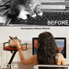 JuoPool cat desk bed spinnable perch allows kitty rest near you during tasks.