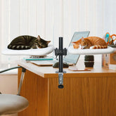 JuoPool Double Cat Desk Bed side view shows compact black design for desk space efficiency.