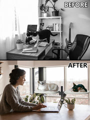 JuoPool Double Cat Desk Bed top view highlights dual nests for two cats during work.
