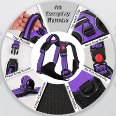Juqiboom harness front-chest attachment demonstrates front-leash control to reduce pulling on walks.