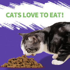 Just Try Blueberry Cat Treats indoor cat snacking during quiet time