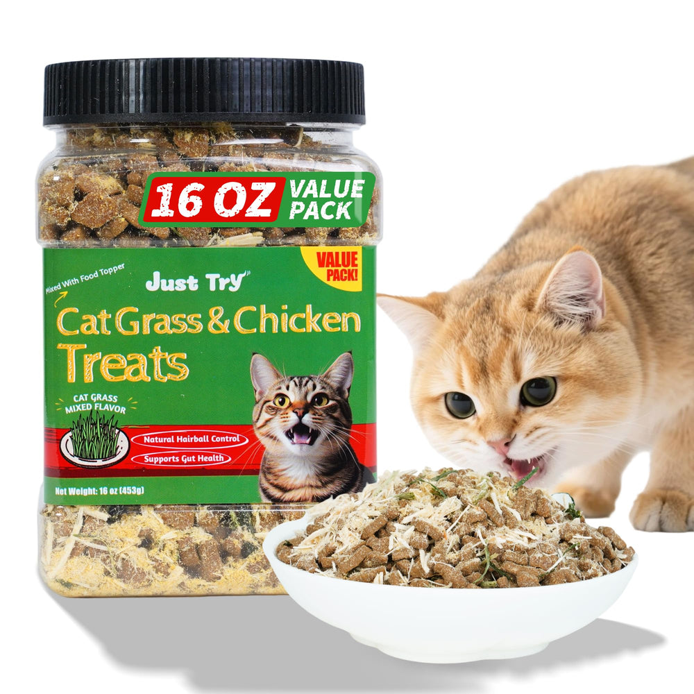 Just Try cat grass jerky treats jar closeup showing fresh packaging for easy access.