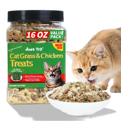 Just Try cat grass jerky treats jar closeup showing fresh packaging for easy access.