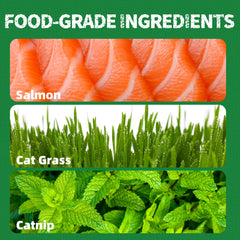 Just Try hairball-control treats with crunchy texture aiding dental care.