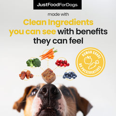 JustFoodForDogs Hip + Joint Soft Chews dog-eating scene suggests tasty, functional treats.