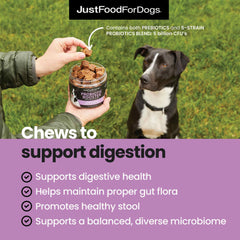 JustFoodForDogs Probiotic Booster in a dog bowl suggests easy daily gut health addition.