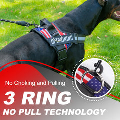 JUSTYEZI reflective harness keeps dogs visible during dusk walks.