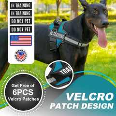 JUSTYEZI essential dog harness side walk view showing three leash clip options