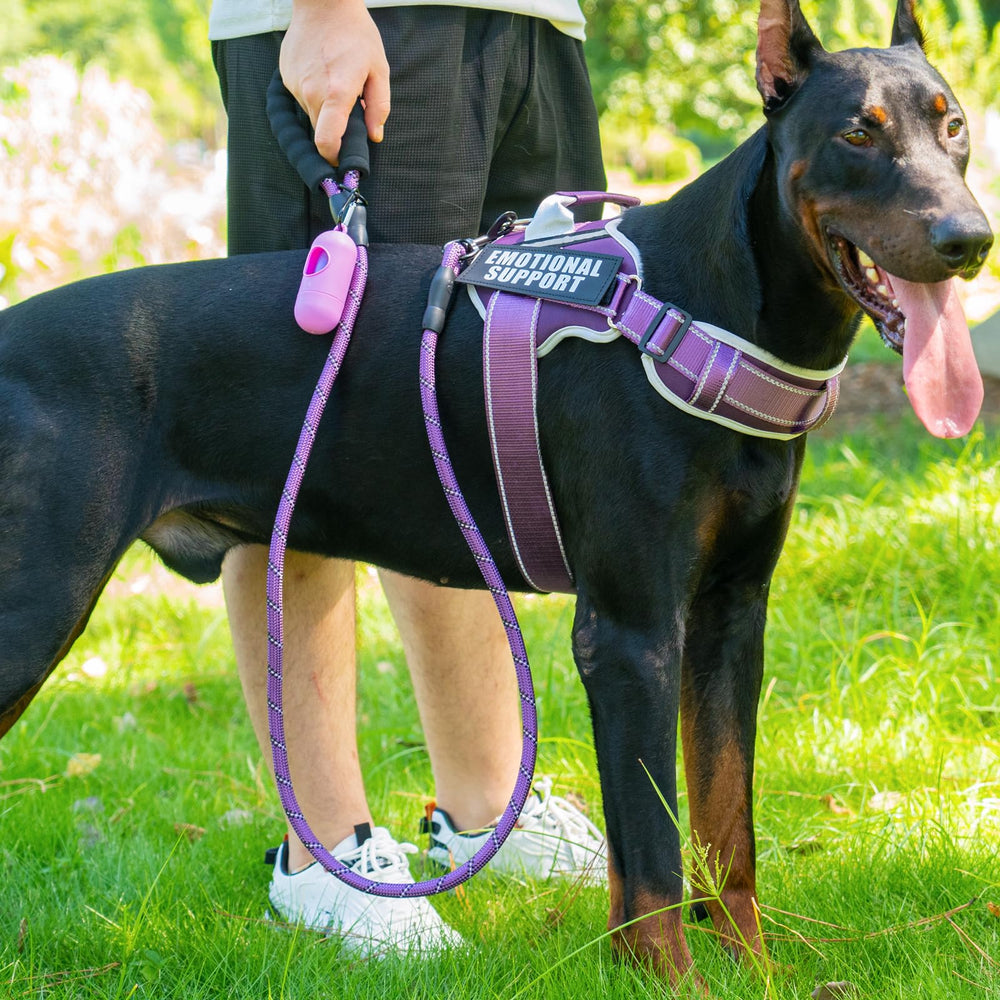 JUSTYEZI neck-padded harness offers all-day comfort during walks.