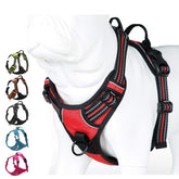 JUXZH Truelove harness back clip for secure leash control on daily walks.