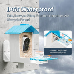 juzjuly smart bird feeder camera 2k monitoring highlights feather details and bird behaviors.