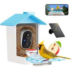 juzjuly smart bird feeder camera front view captures real-time bird arrivals with AI species tagging.