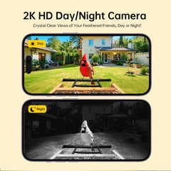 Juzjuly Smart Bird Feeder with Camera night vision shows clear colors after dark