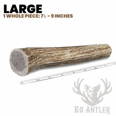 K-9 Antler Co aggressive-chewer image highlights tough, long-lasting chew.