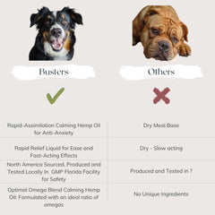 K2xLabs Busters dog-cat calm at home image demonstrating relaxed pets.