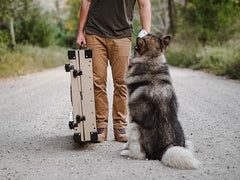 K9 Kennel Boss travel-ready crate with built-in handles in use