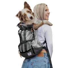 K9 Sport Sack Urban 3 large concrete in use with dog for city commuting