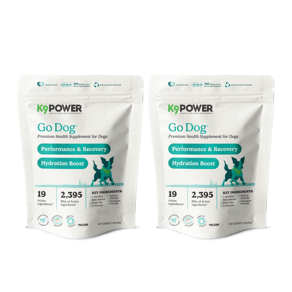 K9Power Go Dog bottle closeup showing electrolyte blend for hydration support.