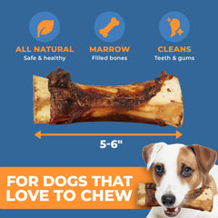 K9warehouse marrow bones for aggressive chewers in action during chewing