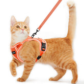 Kaazylab cat harness escape-proof buckle ensures secure outdoor adventures.