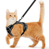 Kaazylab cat harness escape-proof buckles for outdoor safety