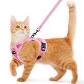 Kaazylab cat harness escape-proof pink M close-up emphasizes secure fit for safe outdoor adventures.