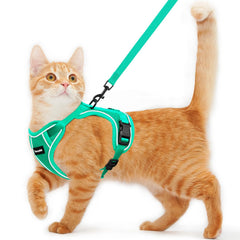 Kaazylab cat harness escape-proof system for secure outdoor adventures.