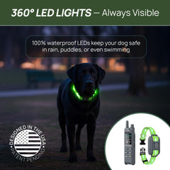 Kailos Creations 360° LED lights improve night visibility during evening walks.