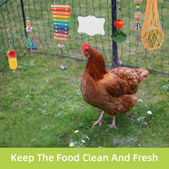 KAKUNM chicken mirror toy for social curiosity in the coop