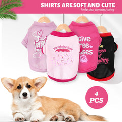 Kallfir's cutie small-dog model wearing shirt highlights lightweight design