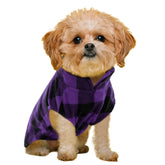 Kama Bridal dog coat front view in purple plaid provides warm, lightweight outerwear for cool days.
