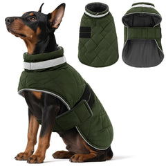 KAMA BRIDAL dog winter coat front view highlighting water-resistant warmth for cold walks.