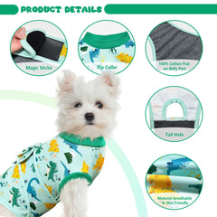 KAROKU Recovery Suit on a cat after surgery, guarding the abdomen.