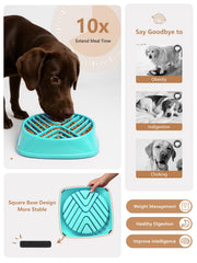 KASBAH bowl with 5-cup capacity fits medium to large dogs during meals.