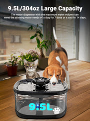 Kastty dog fountain showing three flow modes to attract pets to drink