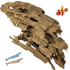 Kathson driftwood aquarium branch close-up showing natural shelter for small fish
