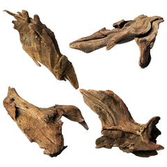 Kathson driftwood branches in an aquarium setup providing natural shelter and visual appeal.