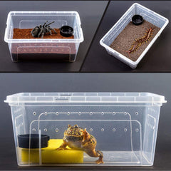 kathson fedbox transparent shell inside view allows observation while feeding